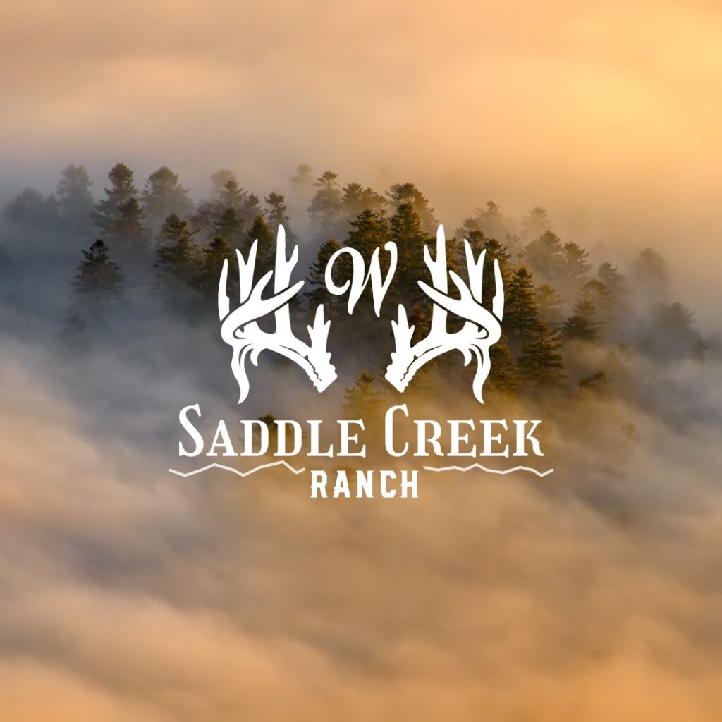 Saddle Creek Ranch Detailed Logo