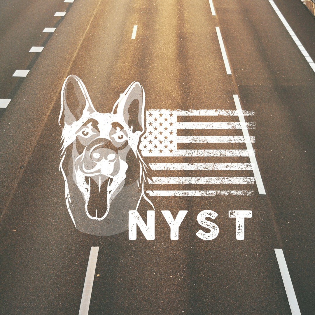 NY State Troopers Illustration