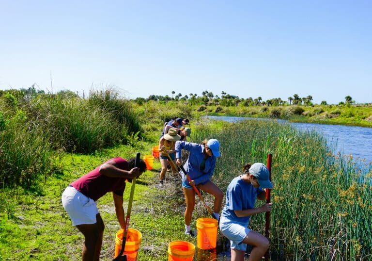 How to Recruit Volunteers Through Your Non-Profit Website