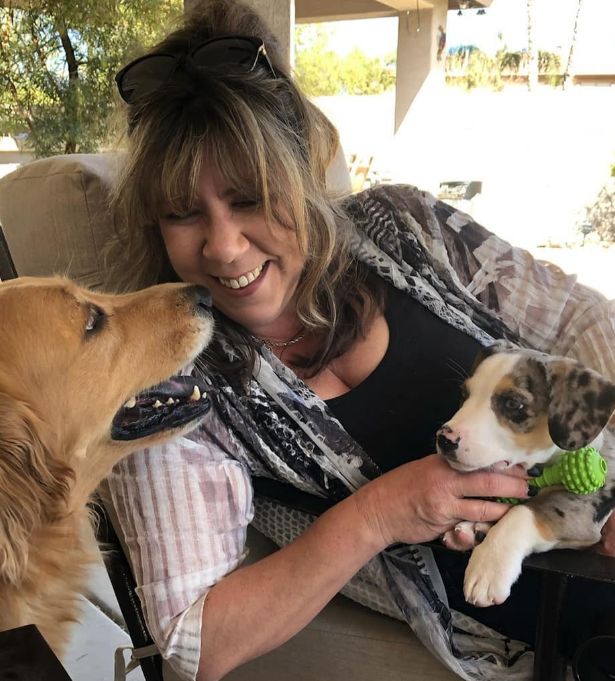 A woman sits smiling outdoors, holding a small puppy with a green toy. An adult golden retriever faces her, nose-to-nose with the puppy, creating a joyful and affectionate scene that reflects the warmth of a woman-owned branding studio.
