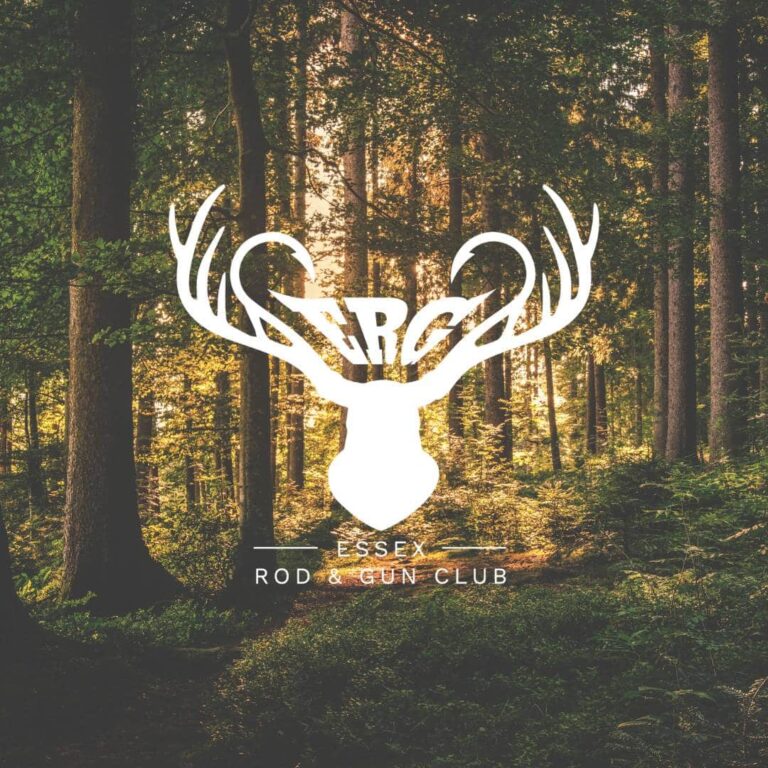 A white deer head logo with large antlers and the letters ERG overlays a sunlit forest, crafted to exemplify expert logo design services. Below, text reads Essex Rod & Gun Club.