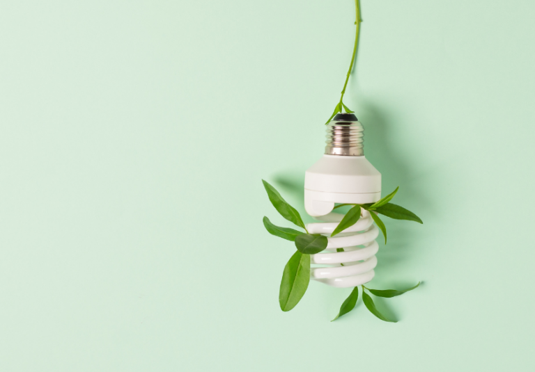 Green Without Gimmicks: A Practical Guide to Sustainable Graphic Design in 2026