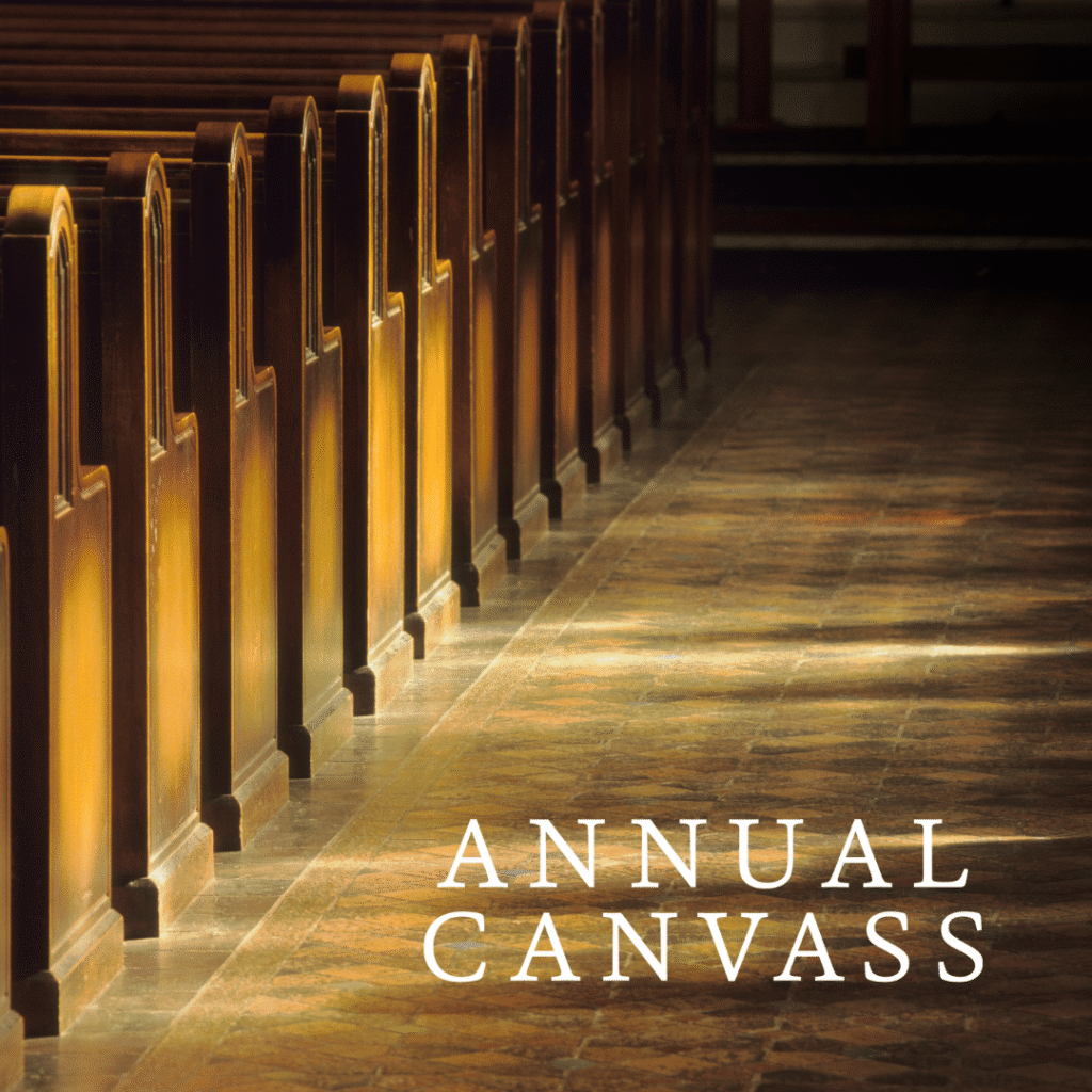 Sunlight shines on empty wooden church pews with the words Annual Canvass in white text on the tiled floor, created by Moonlit Media—a web designer specializing in custom logo design.