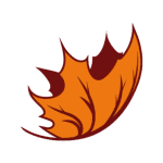 A stylized, orange autumn leaf with pointed edges and dark brown veins, outlined in dark brown, ideal for custom logo design or web designer projects, shown on a transparent background.