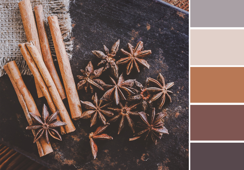How to Choose the Right Color Palette for Your Brand balanced Cinnamon sticks and star anise on a dark wooden surface beside a burlap cloth, with a vertically displayed color palette of muted greys, browns, and tan shades to help you choose your brand personality.