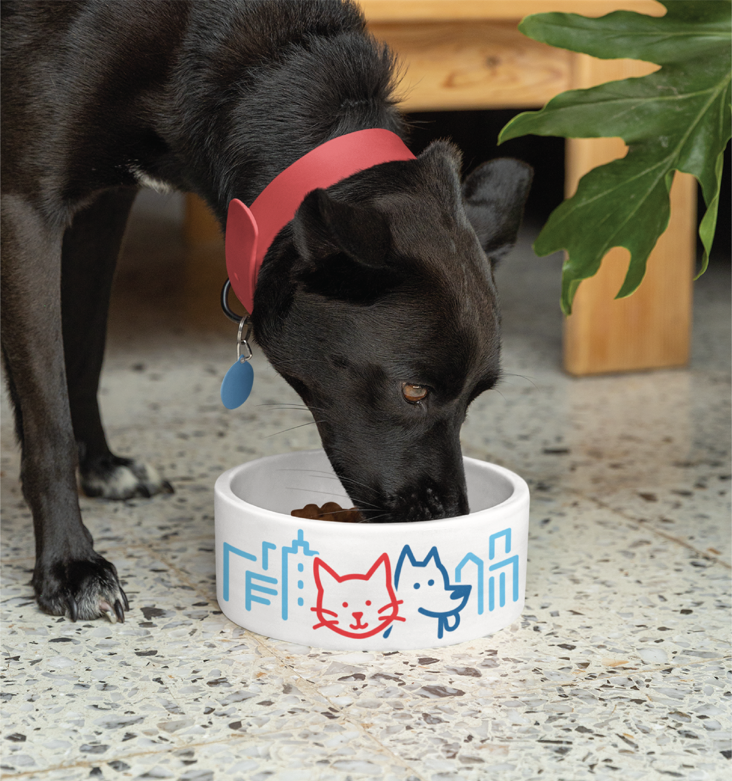 A black dog wearing a red collar eats from a white bowl decorated with red and blue drawings, reminiscent of playful logo design, on a speckled floor next to leafy green plants and wooden furniture.