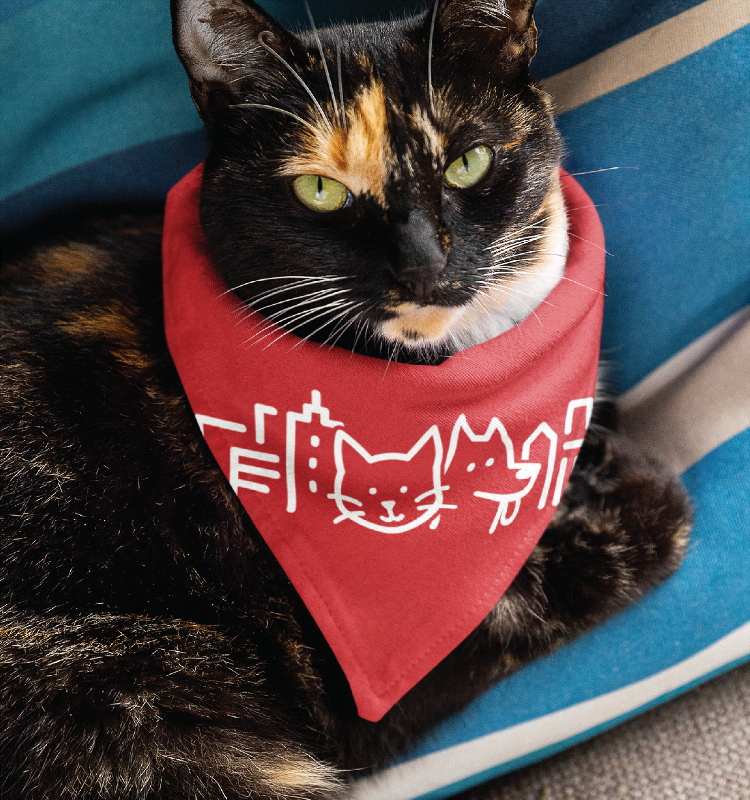 A tortoiseshell cat with green eyes lounges on a blue cushion, wearing a red bandana featuring white line drawings of cartoon cats, city buildings, and a playful logo design inspired by US cityscapes.
